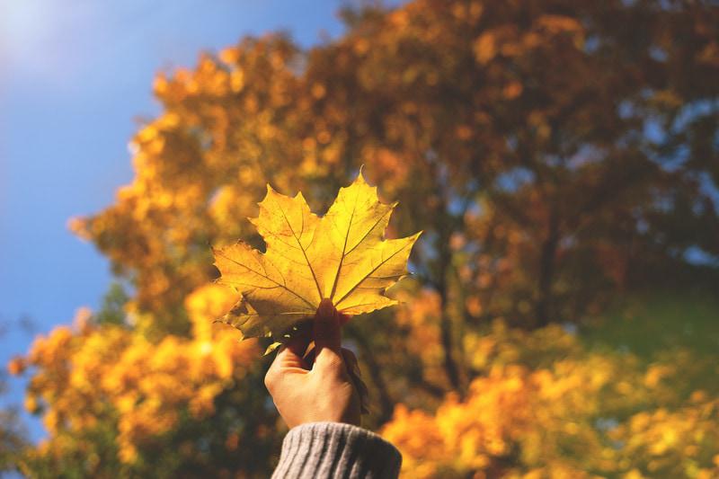 ein Blatt haltend