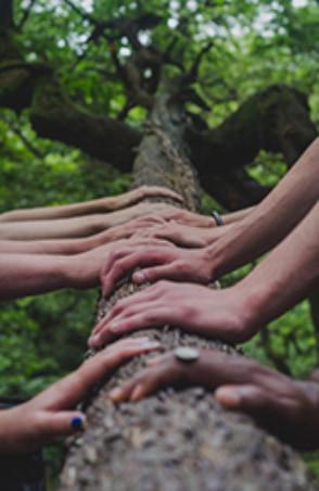 mains sur le tronc de l'arbre