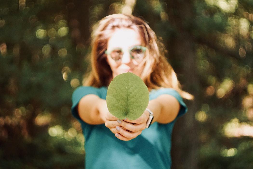 Beaumont director holding a leaf