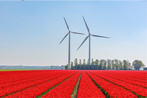 turbines éoliennes